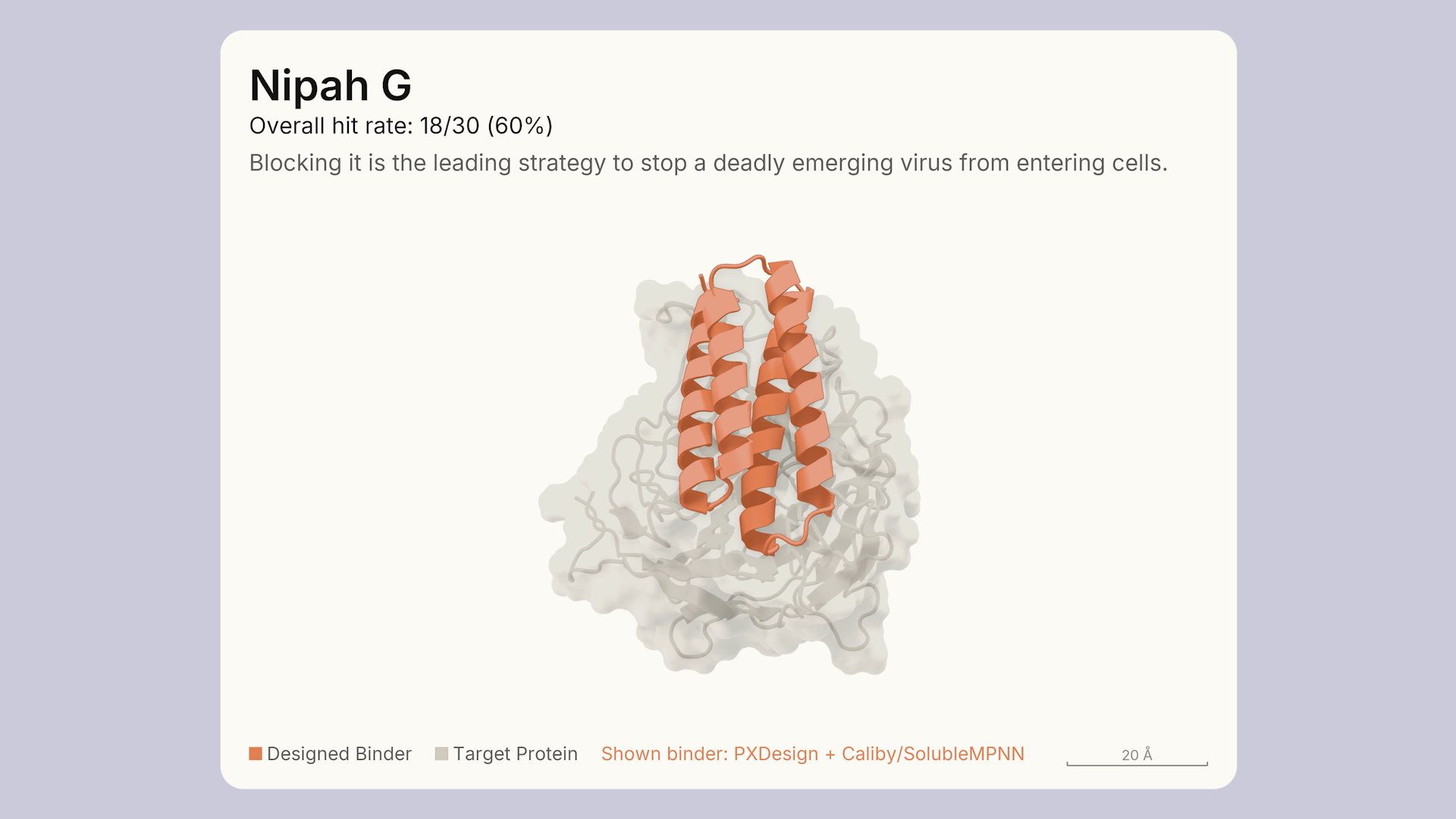 Anthropic's own results card for a Claude Fable 5.1-designed protein binder against the Nipah virus G glycoprotein, showing an 18/30 (60%) overall hit rate and a 3D structure of the designed binder (orange) docked against the target protein (grey), with the note that structures shown are ESMFold2 predictions