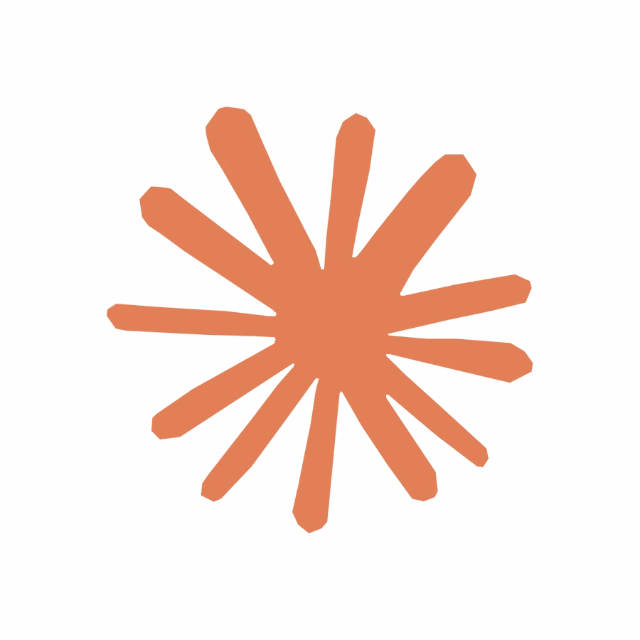 Anthropic's Claude AI starburst symbol, rendered in the brand's clay-orange colour on a white background.